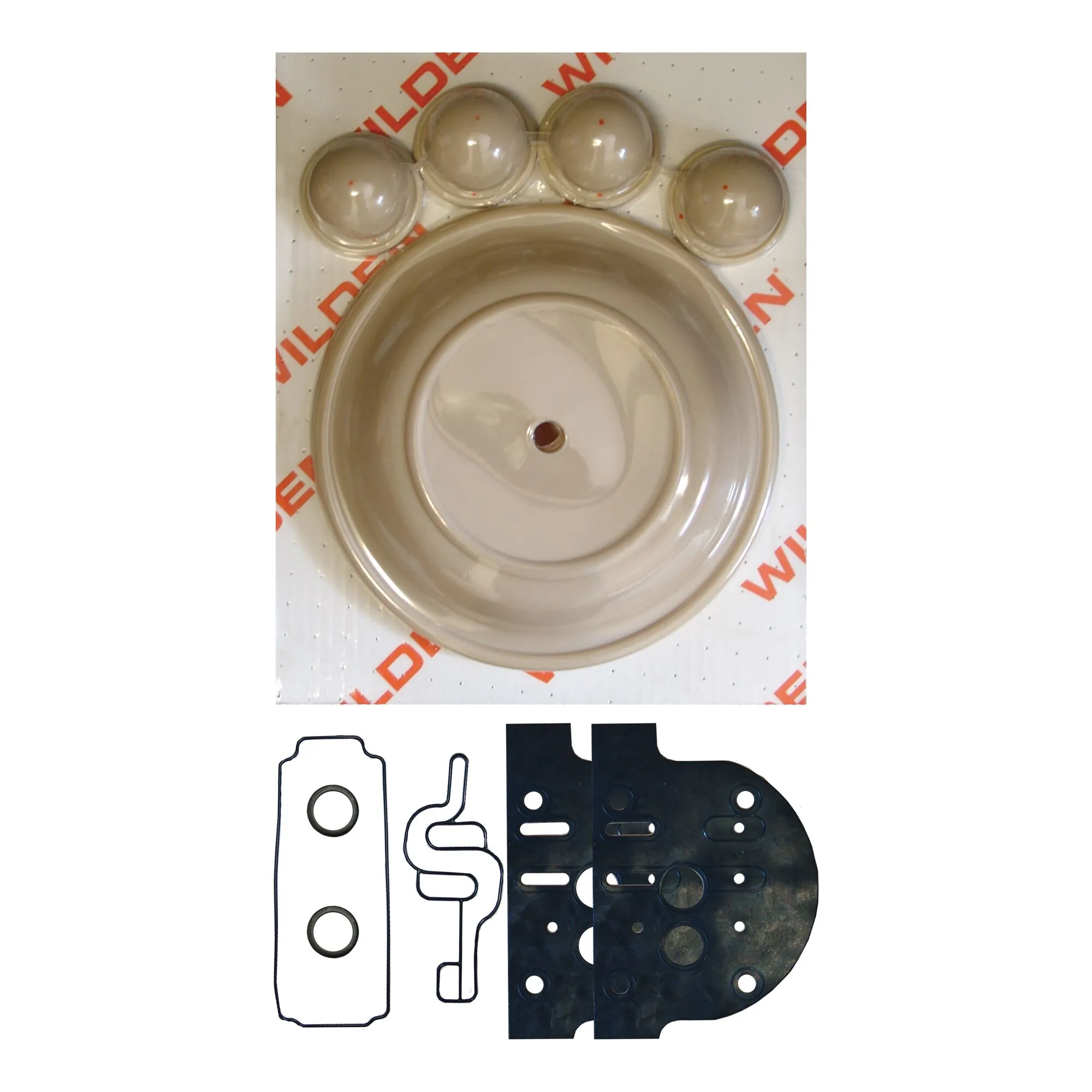 Wilden 2" P8 Rebuild Kit